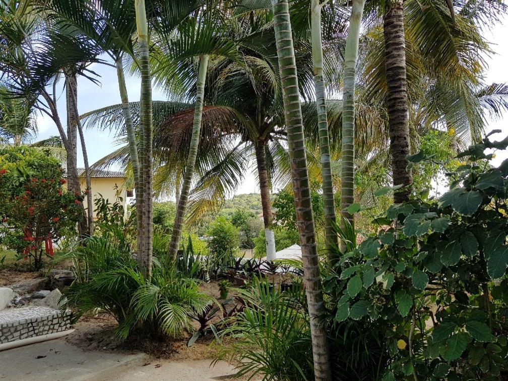 Casa Tua Pipa Apartment Praia de Pipa ภายนอก รูปภาพ
