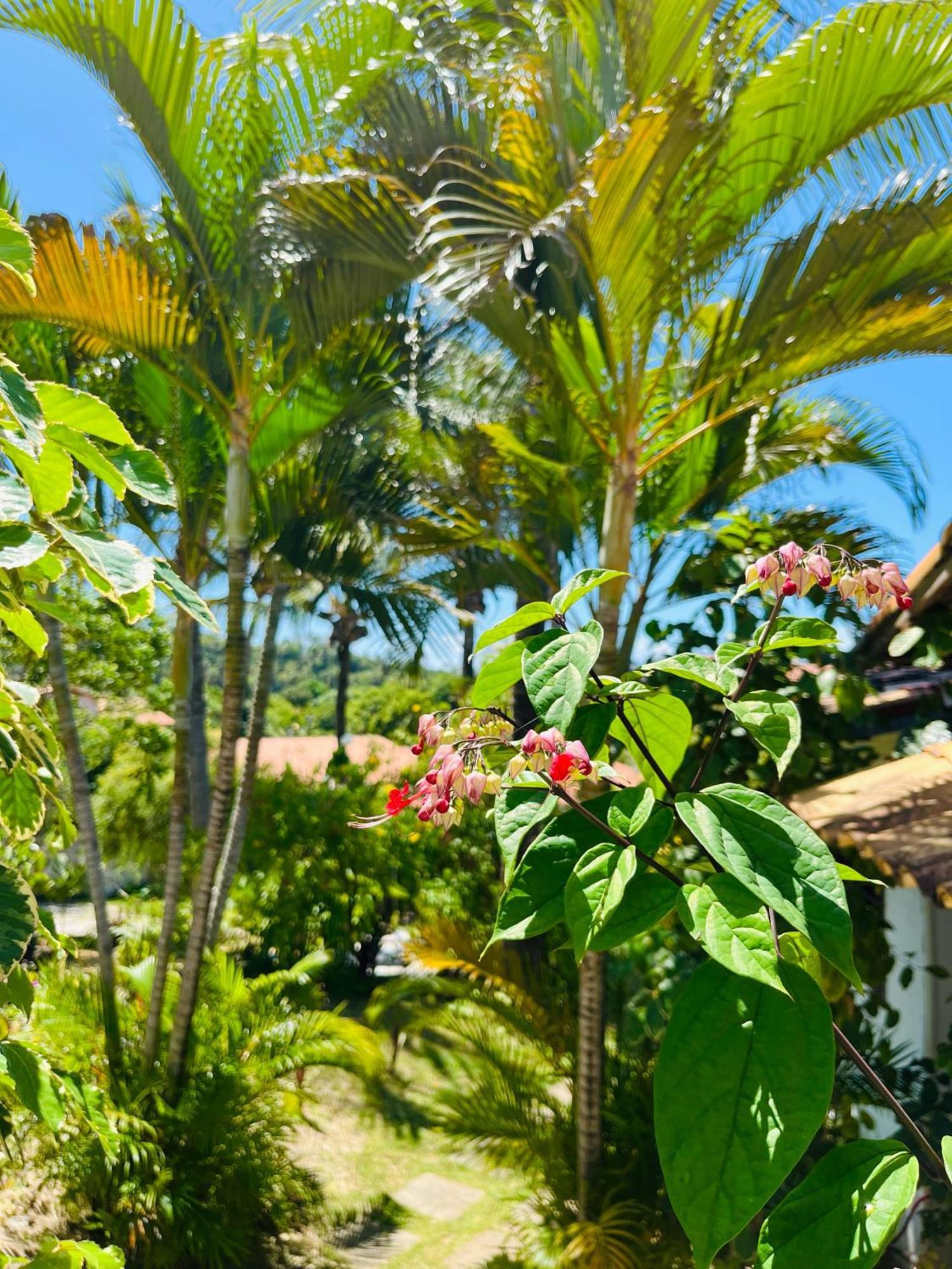 Casa Tua Pipa Apartment Praia de Pipa ภายนอก รูปภาพ