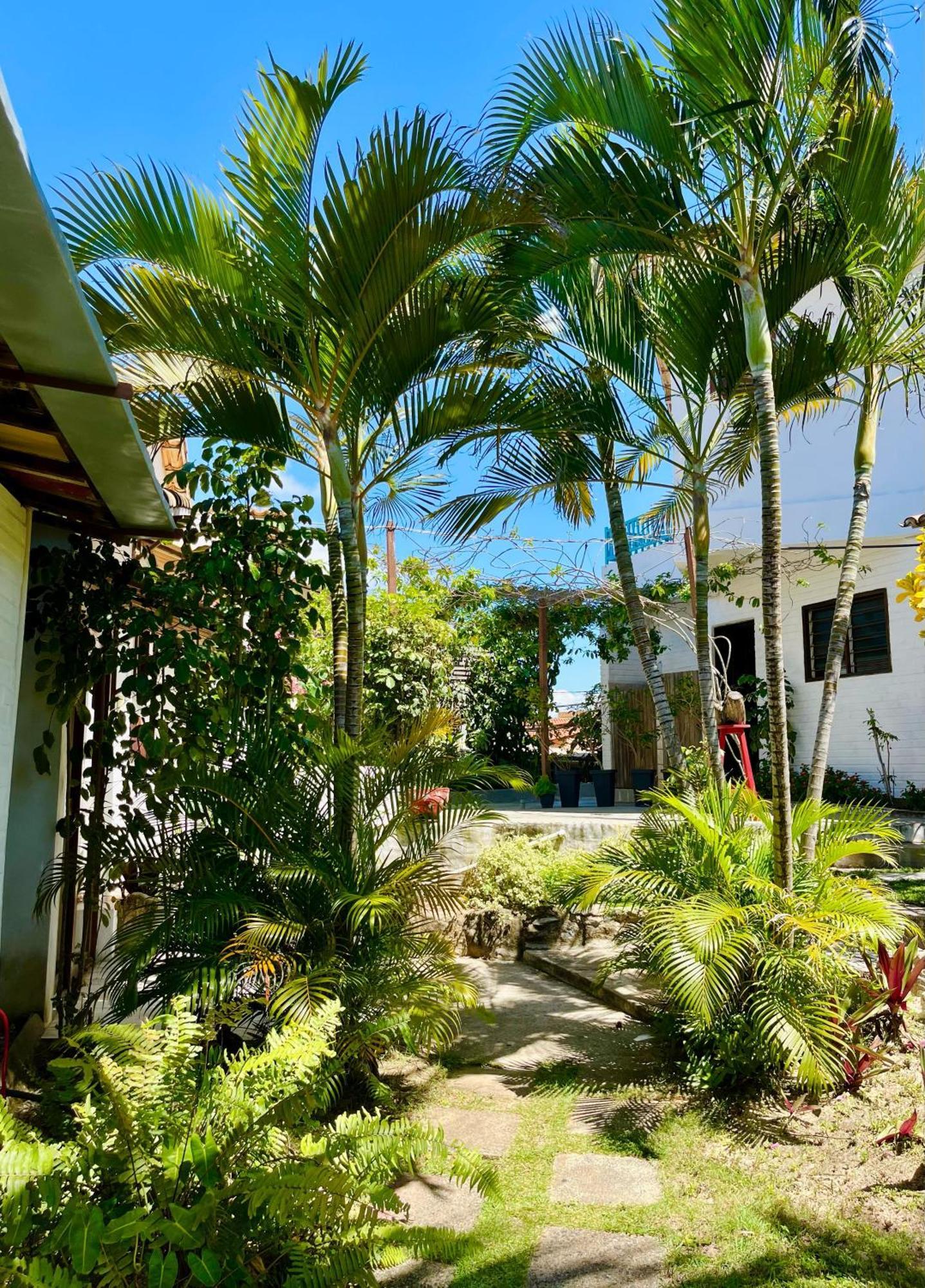 Casa Tua Pipa Apartment Praia de Pipa ภายนอก รูปภาพ